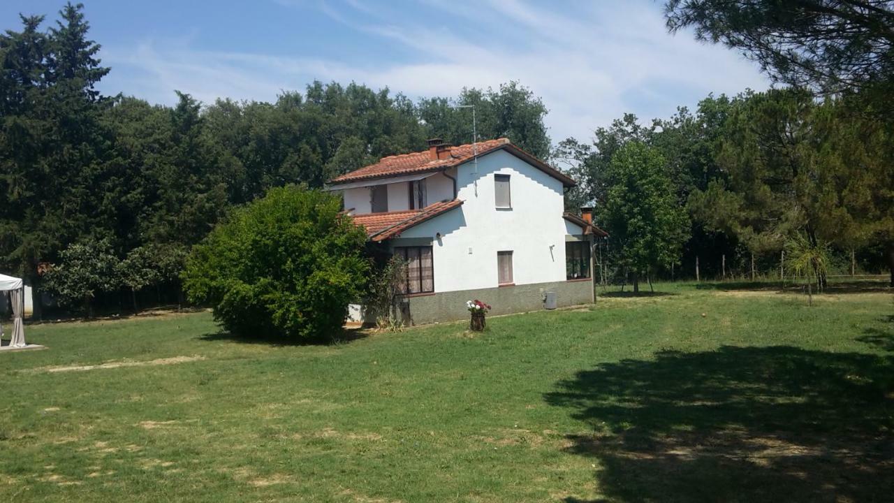Artenatura Beb Terranuova Bracciolini Exterior photo